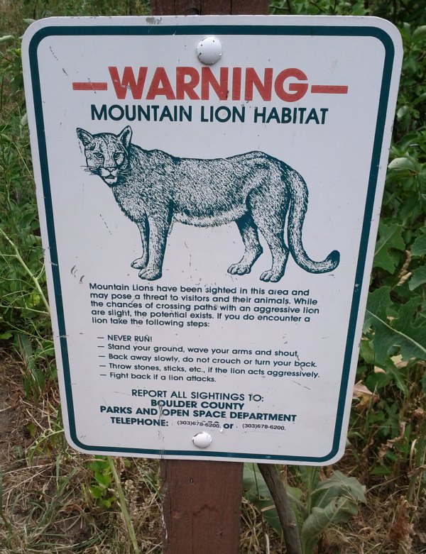 lionsign_resized